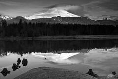 B044 Mt Baker Reflected in Baker Lake, Washington  print
