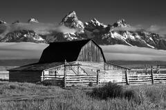 B082 Barn and Grand Tetons, Wyoming  print