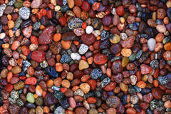 B163 Colorful Rocks, Washington Park Beach, Anacortes, Washington print