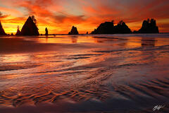 B233 Sunset Shi Shi Beach, Olympic National Park, Washington print
