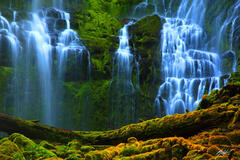 C116 Proxy Falls, Willamette National Forest, Oregon  print