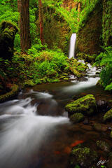C122 Fairyland Falls, Columbia River Gorge, Oregon print