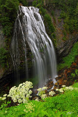 C131 Narada Falls in Mt Rainier National Park, Washington print