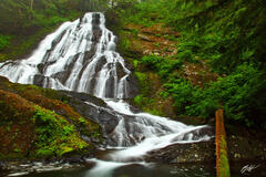 C156 Twenty-Two Creek Falls, Lake Twenty-Two Trail, Washington  print