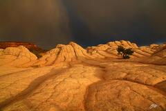 D123 Raincloud Over White Pocket, Vermillion Cliffs, Arizona print