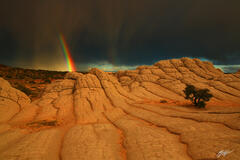 B124 Rainbow Over White Pocket, Vermillion Cliffs, Arizona print