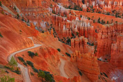 D141 Hoodoos from Inspiration Point, Bryce Canyon, Utah print