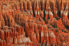D152 Hoodoos from Inspiration Point, Bryce Canyon, Utah print