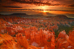 D201 Sunrise from Sunset Point, Bryce Canyon, Utah print