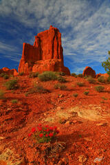 D237 Courthouse Towers, Arches National Park, Utah print