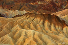 D274 Alluvial Fans, Zabriskie Point, Death Valley, California print