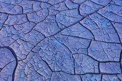 Mud Tiles in Death Valley National Park, California print