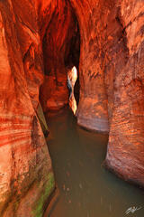 D339 Water in Tunnel Slot Canyon, Escalante, Utah print