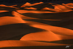 D383 First Light, Mesquite Sand Dunes, Death Valley, California print