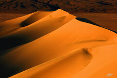 D384 Eureka Sand Dunes, Death Valley, California print