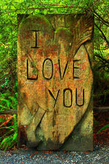 F018 I love You Chainsaw Carving, Redwoods, California print