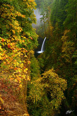F122 Metlako Falls, Eagle Creek Gorge, Oregon  print