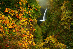 F124 Metlako Falls, Eagle Creek Gorge, Oregon print