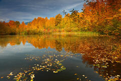 F135 Fall Reflection in Easton Ponds, Washington print