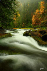 F154 Fall Color Lewis River, Gifford Pinchot National Forest, Washington print
