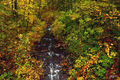 F165 Fall Color and Bridal Veil Creek, Oregon  print