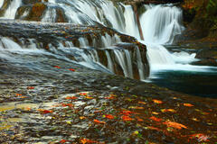 F196 Fall Leaves and Middle Lewis River Falls, Washington print