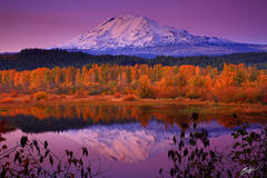 F213 Sunrise Mt Adams Reflected in Trout Lake, Washington print