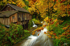 F215 Cedar Creek Grist Mill in Fall, Woodland, Washington print