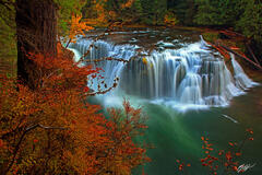 F224 Fall Color and Lower Lewis River Falls, Washington print