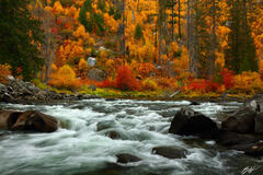 F284 Fall Color, Wenatchee River, Tumwater Canyon, Washington  print