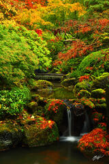 F298 Fall Color, Portland Japanese Garden, Oregon print