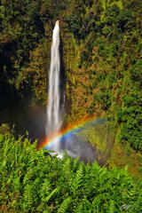 H015 Rainbow and Akaka Falls, Big Island, Hawaii print