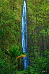H046 Makahiku Falls, Maui, Hawaii print