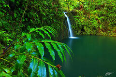 H049 Secret Waterfall, Maui, Hawaii print