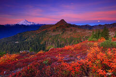 M145 Sunrise Mt Baker in Fall, Washington print
