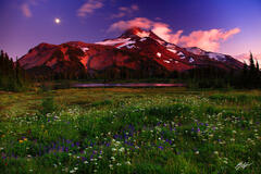 M256 Afterglow Wildflowers and Mt Jefferson, Oregon print