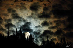 M368 Moonrise in Mt Rainier National Park, Washington print