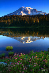 M455 First Light on Mt Rainier and Reflection Lakes, Washington print