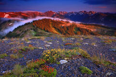 M464 Sunset Olympic Mountains, Obstruction Point, Washington  print