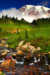 P155 Edith Creek and Mt Rainier, Washington print