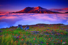 P160 Sunrise Mt St Helens, Washington print