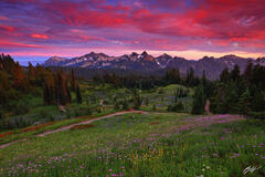 P207 Sunset Wildflowers and the Tatoosh Range, Washington print