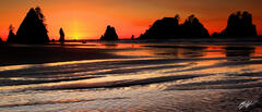 Pano124 Sunset Shi-Shi Beach, Olympic National Park, Washington print