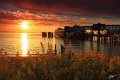 U037 Sunset Edmonds Ferry at Dock, Washington print