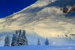 P131 Winter and Mt Rainier, Washington print