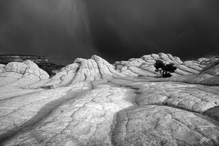 B038 Raincloud over the White Pocket, Vermillion Cliffs, Arizona