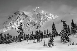 B050 Winter Scene and Mt Shuksan, Heather Meadows, Washington 