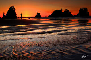 B109 Sunset and Sea Stacks, Shi Shi Beach, Washington 