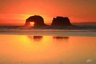 B298 Sunstar in Twin Rocks, Rockaway Beach, Oregon 