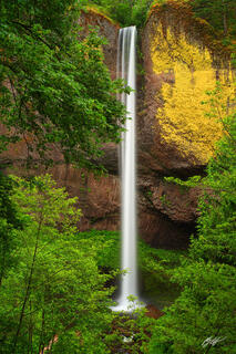 C111 Latourell Falls, Columbia River Gorge, Oregon
